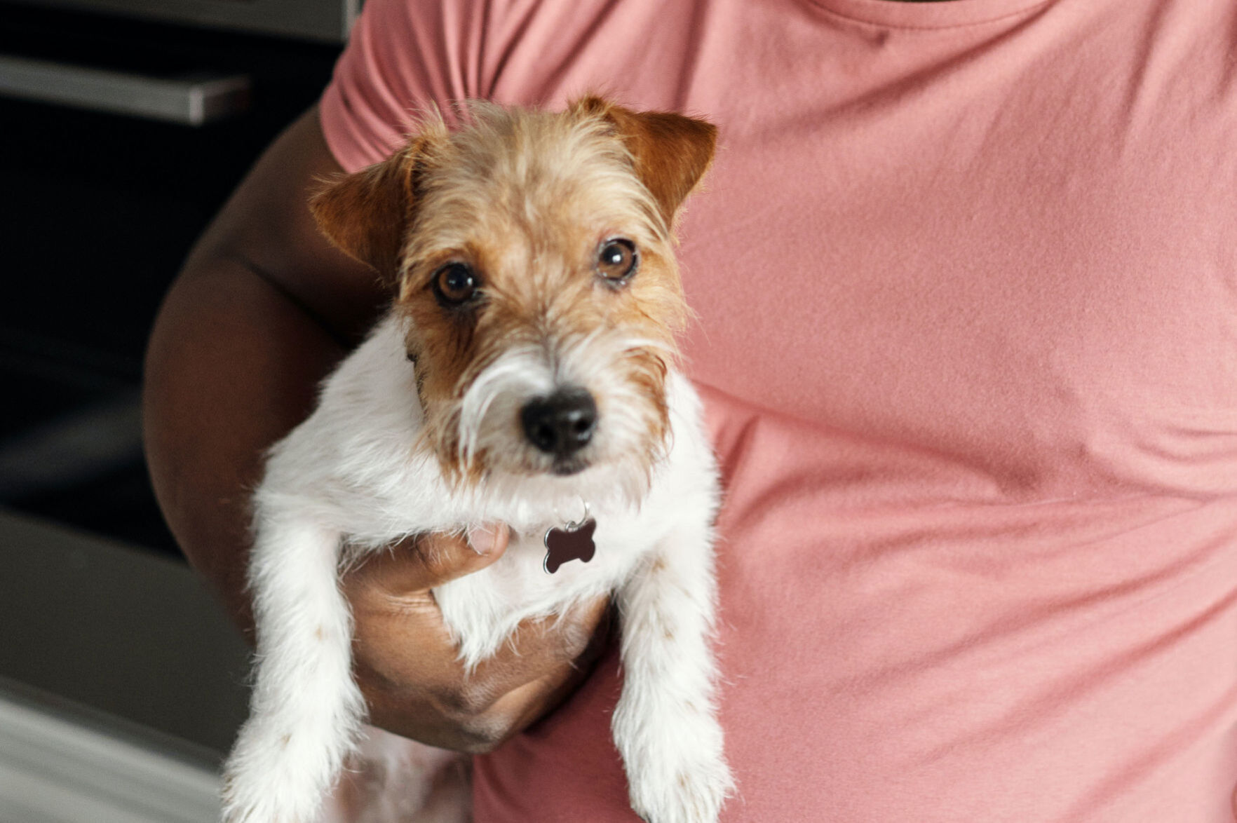 Dog potty training